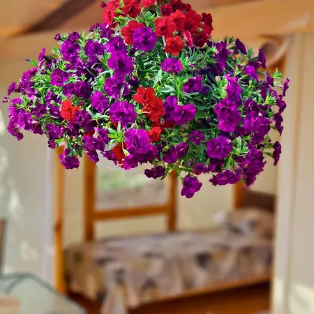 Divoto Glamping Luxury tent Balchik